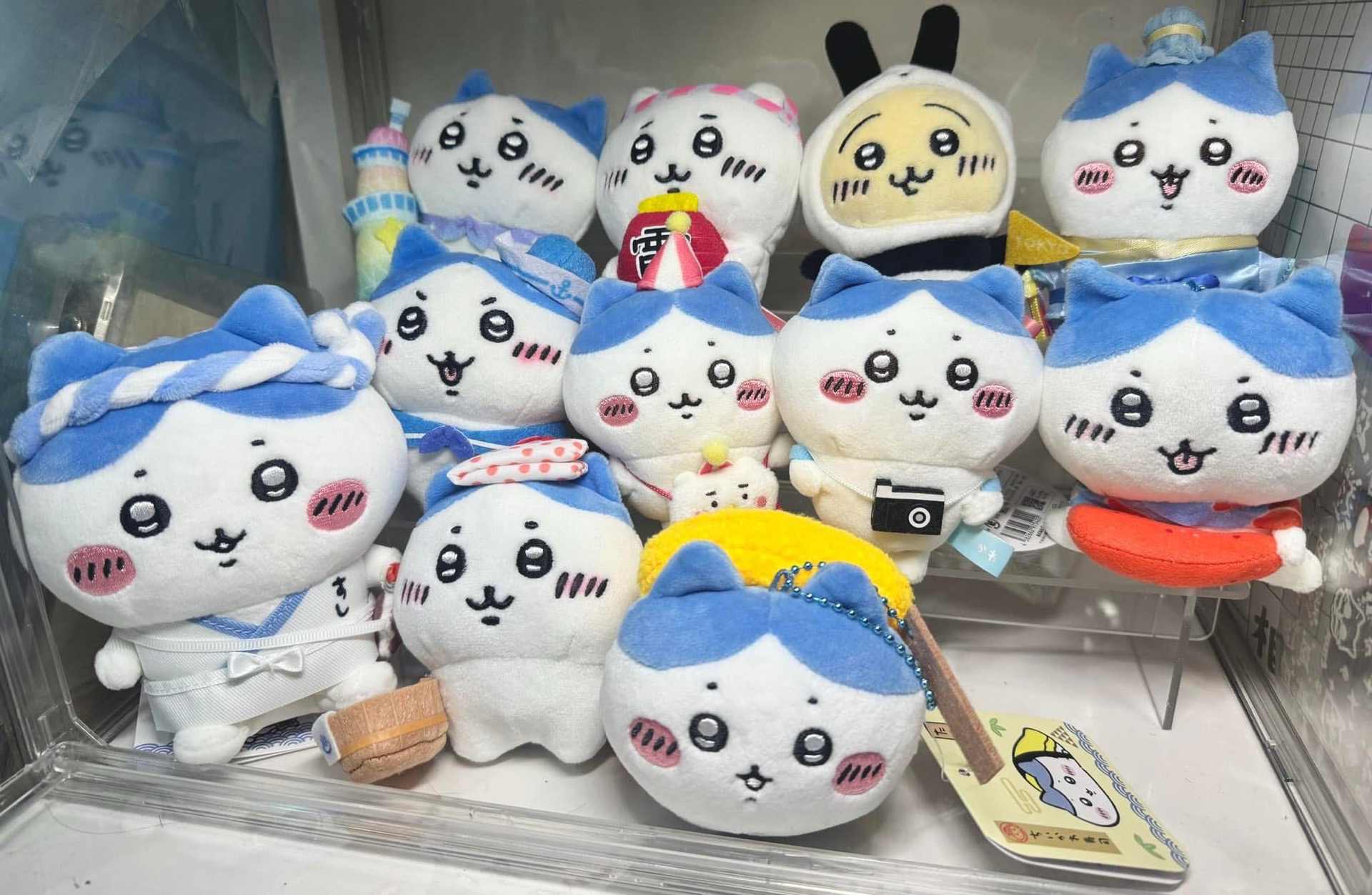 吉伊卡哇&小八們