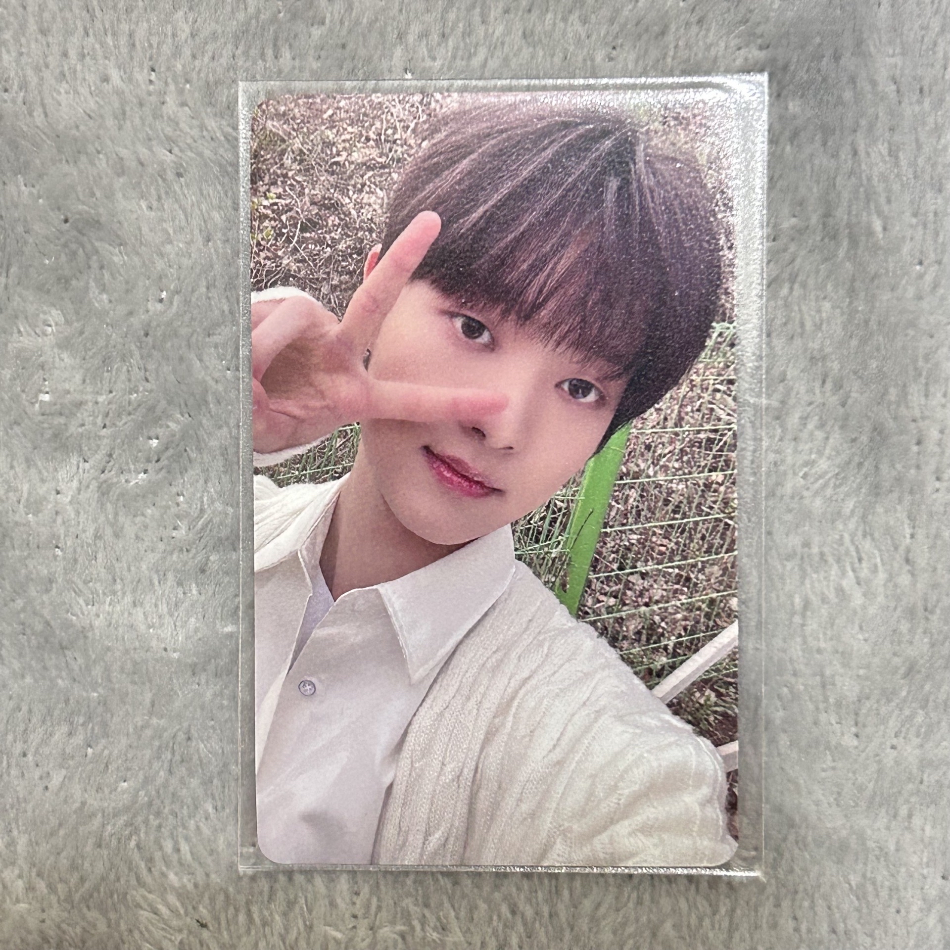 五月雨 環球 3.0 幸運卡 