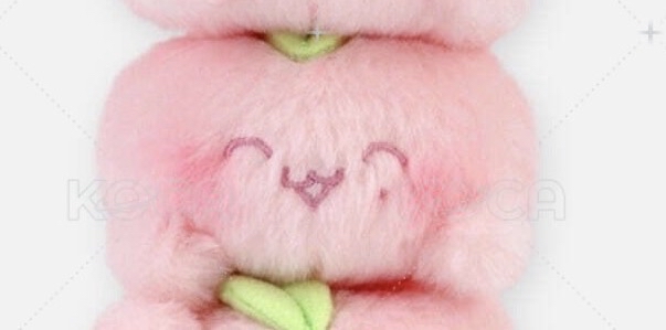 鄭在玹 桃子娃娃🍑