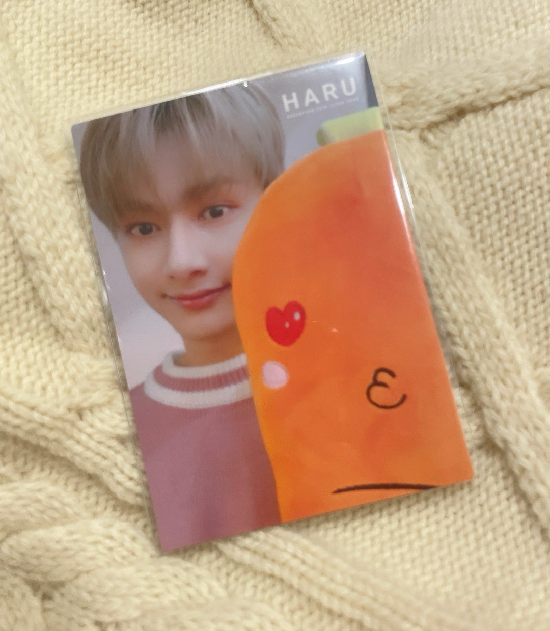 美萌胡蘿蔔🥕俊