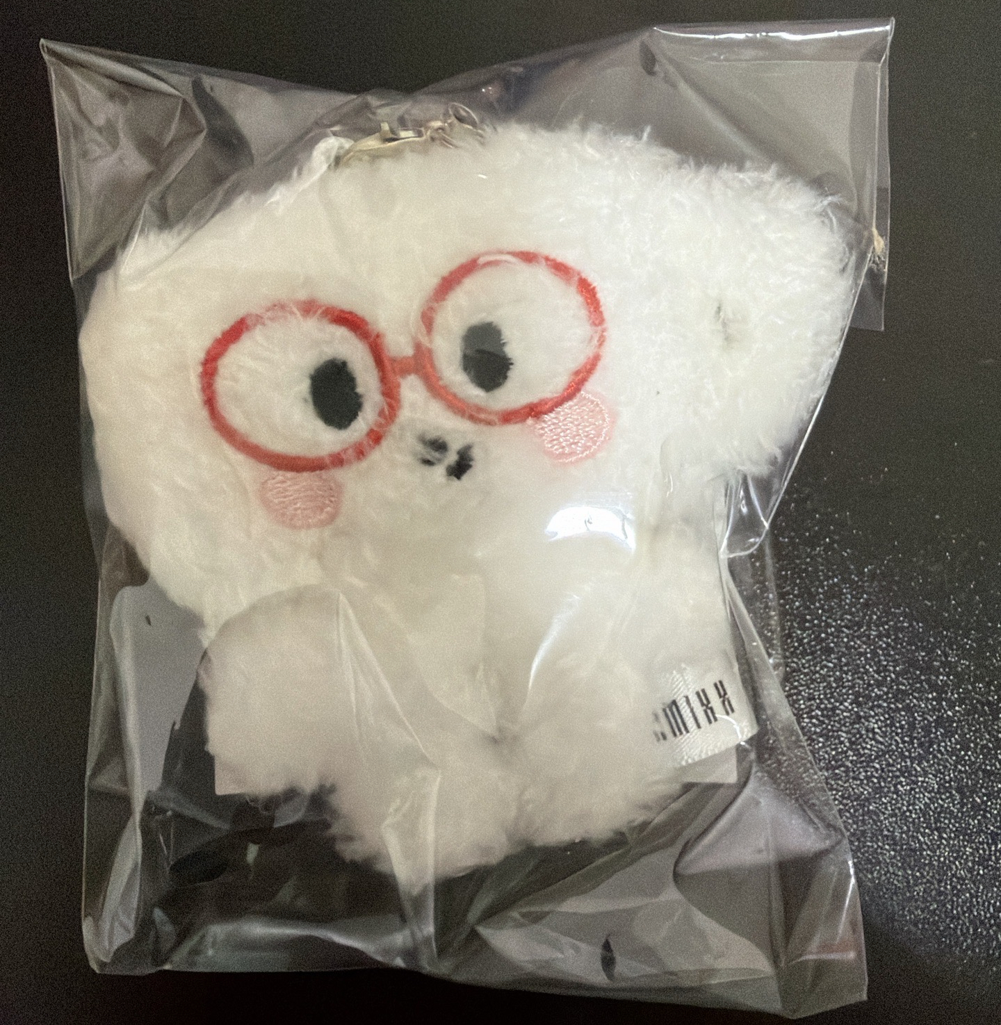 NSWER VACATION 嫄鑰匙圈吊飾 全新未拆