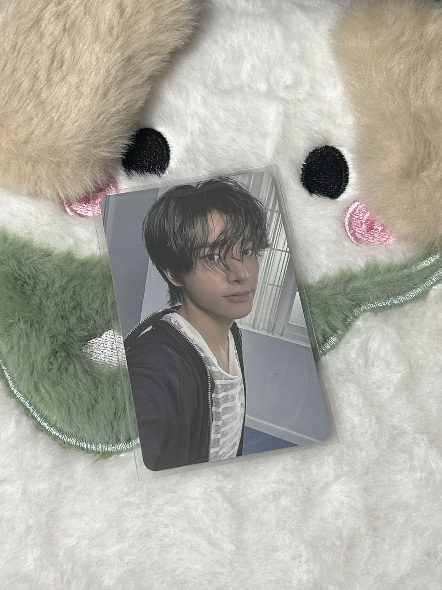 正二後續 專輯卡 blue noon ver.