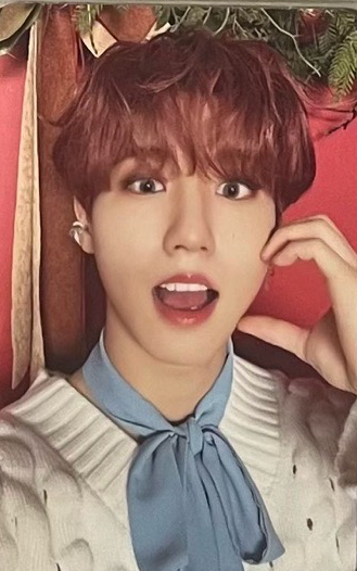 我才是聖誕老城