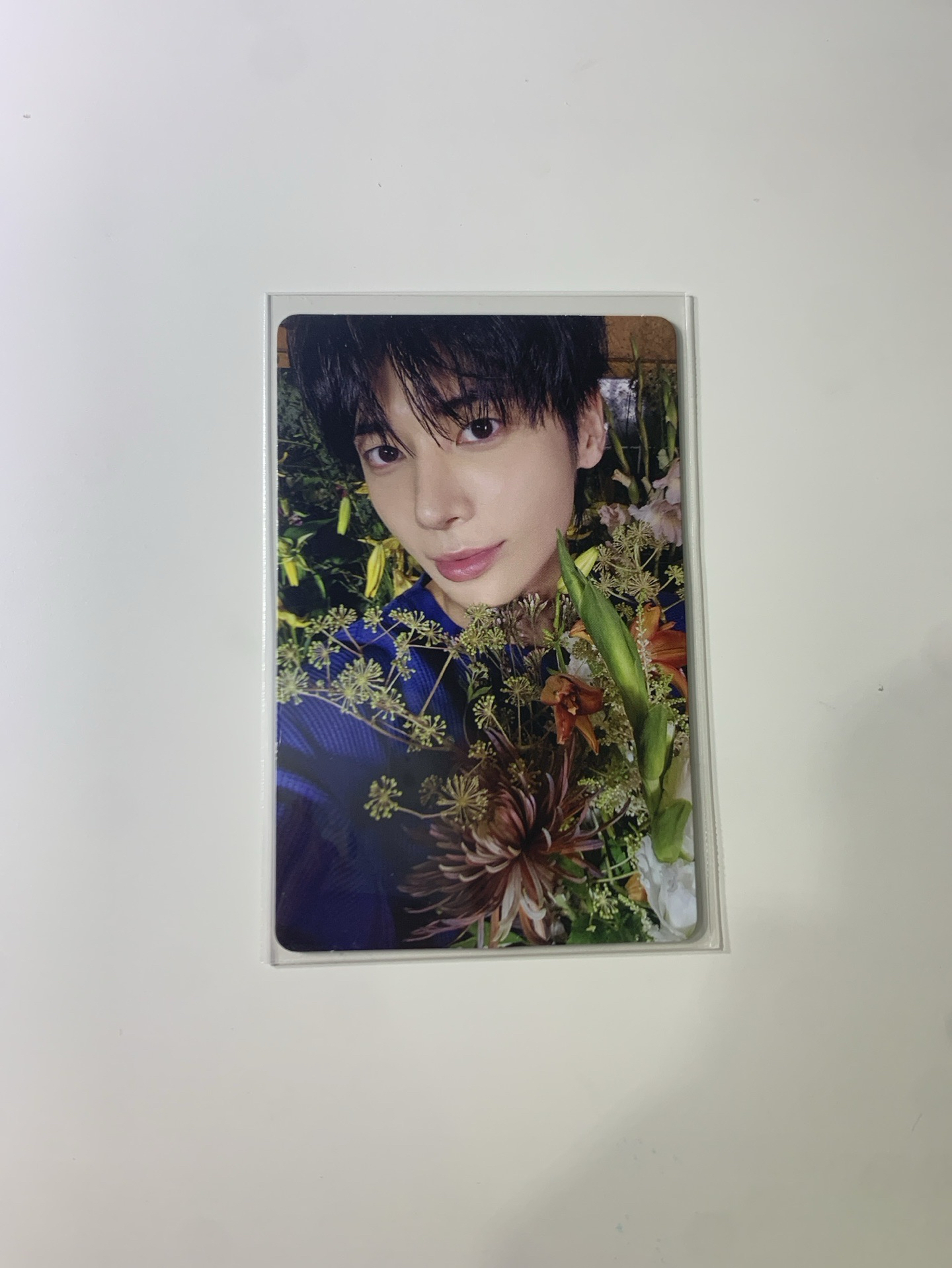 迷七 專輯卡 電子專B