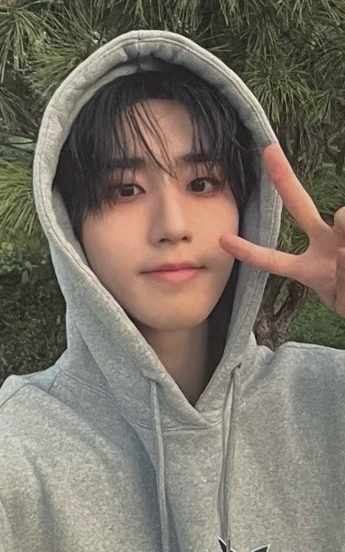 大家都很喜歡我城