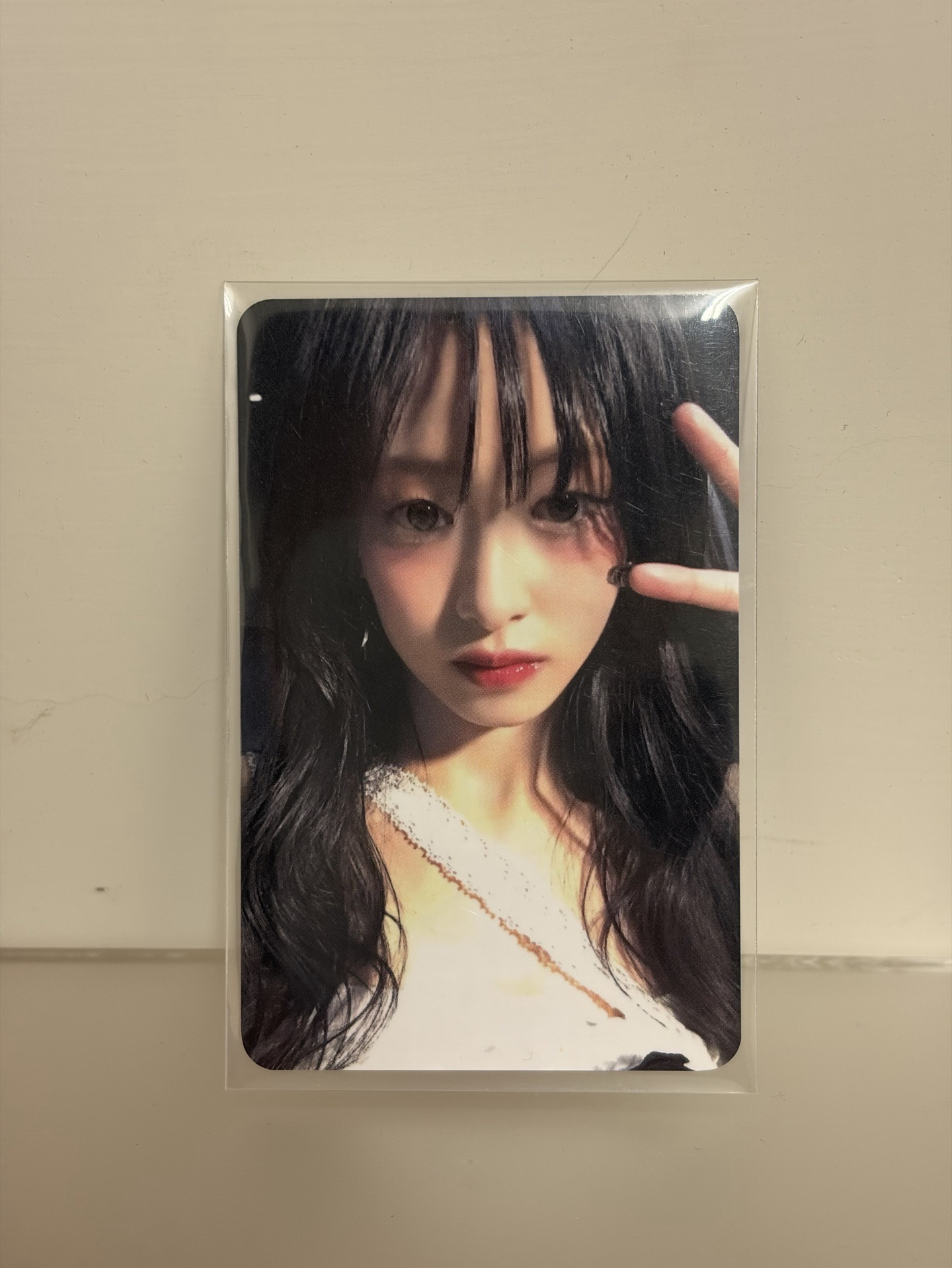 🦋一週年YG線下特典