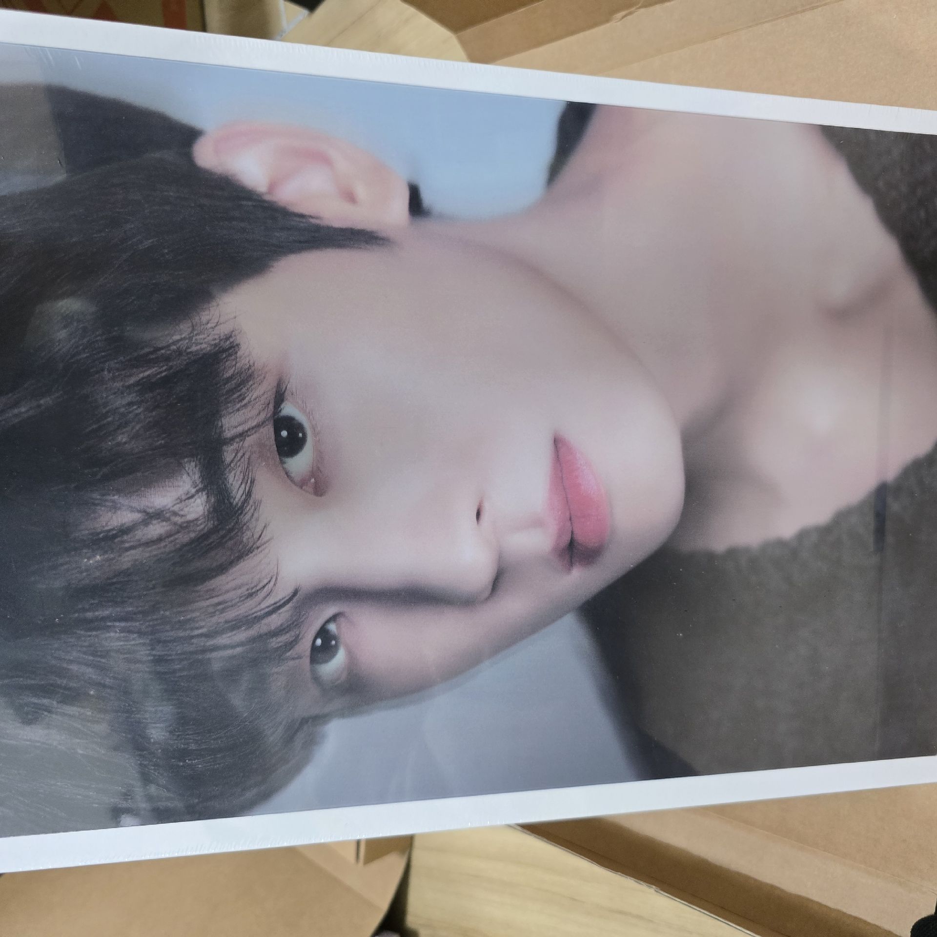 SEVENTEEN DICON 巨大寫真本