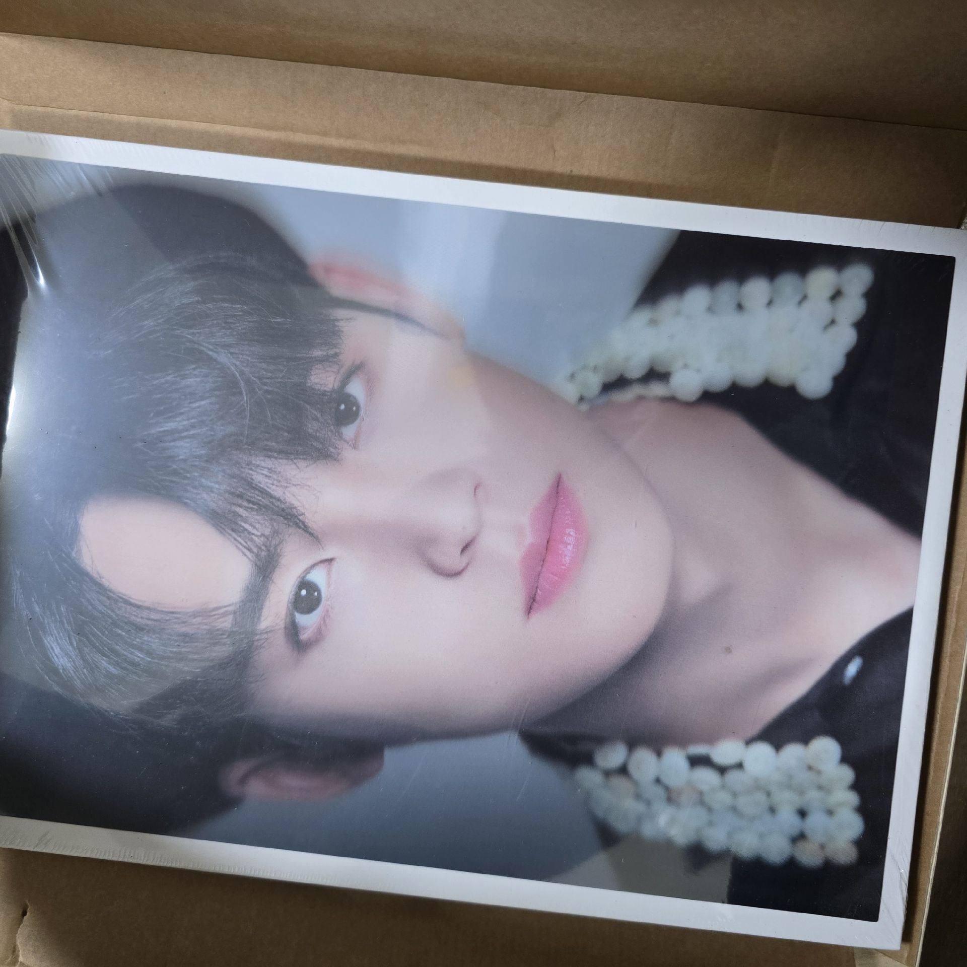 SEVENTEEN DICON 巨大寫真本