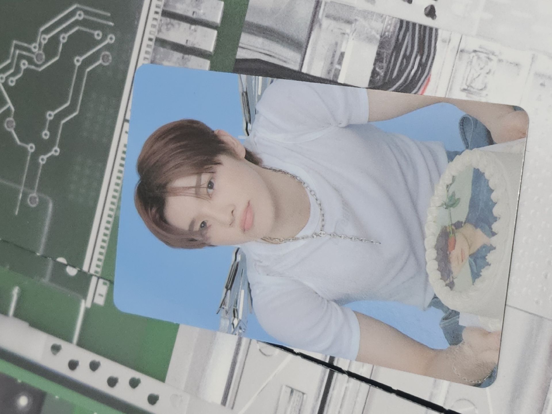 RIIZE 2026年曆 wvs 特典卡 燦