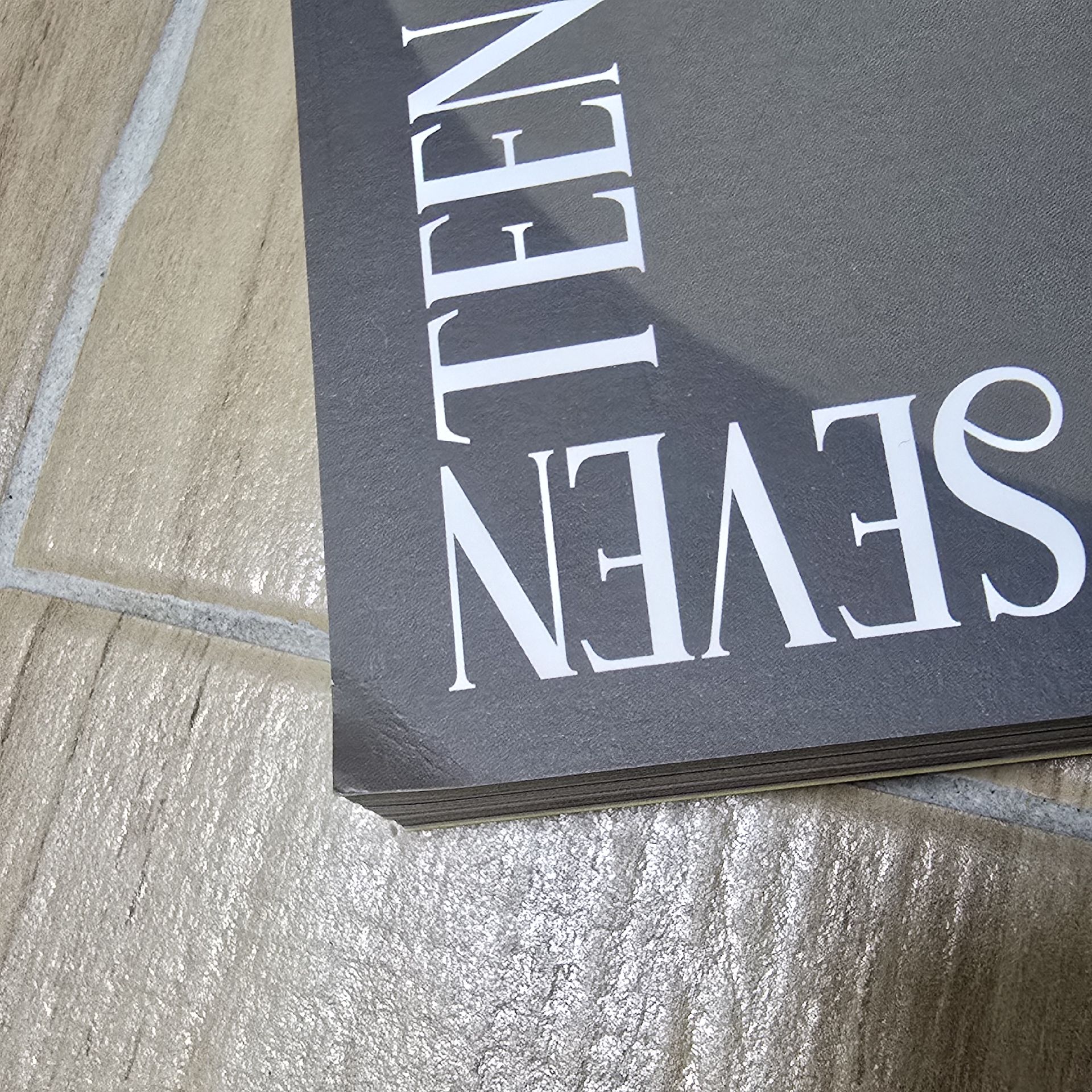 SEVENTEEN DICON 寫真本 圓佑 珉奎