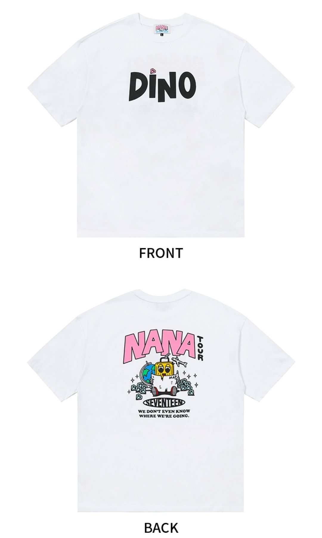 NaNa tour 姓名版 DINO ver.