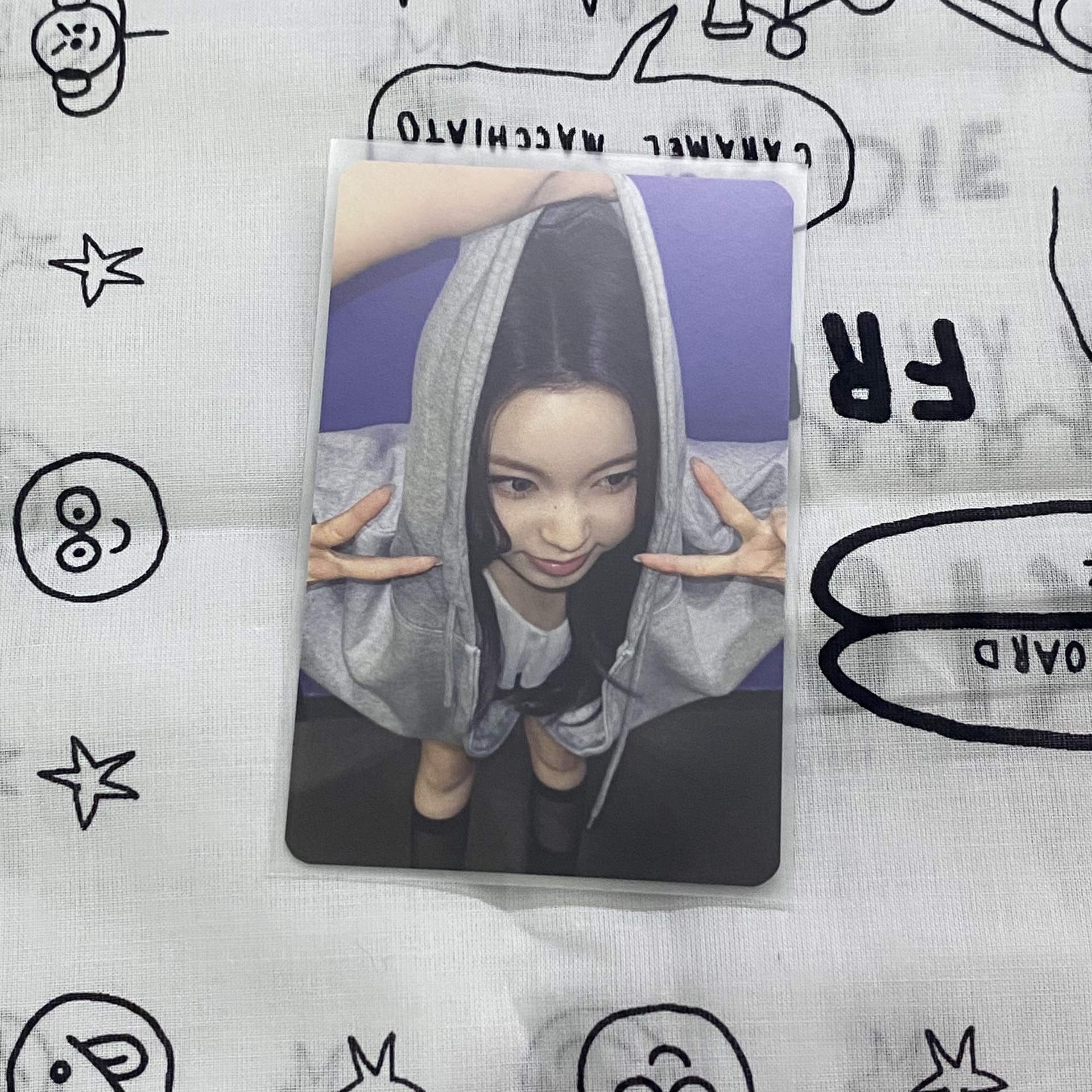 嗷嗚圭 （帶1）