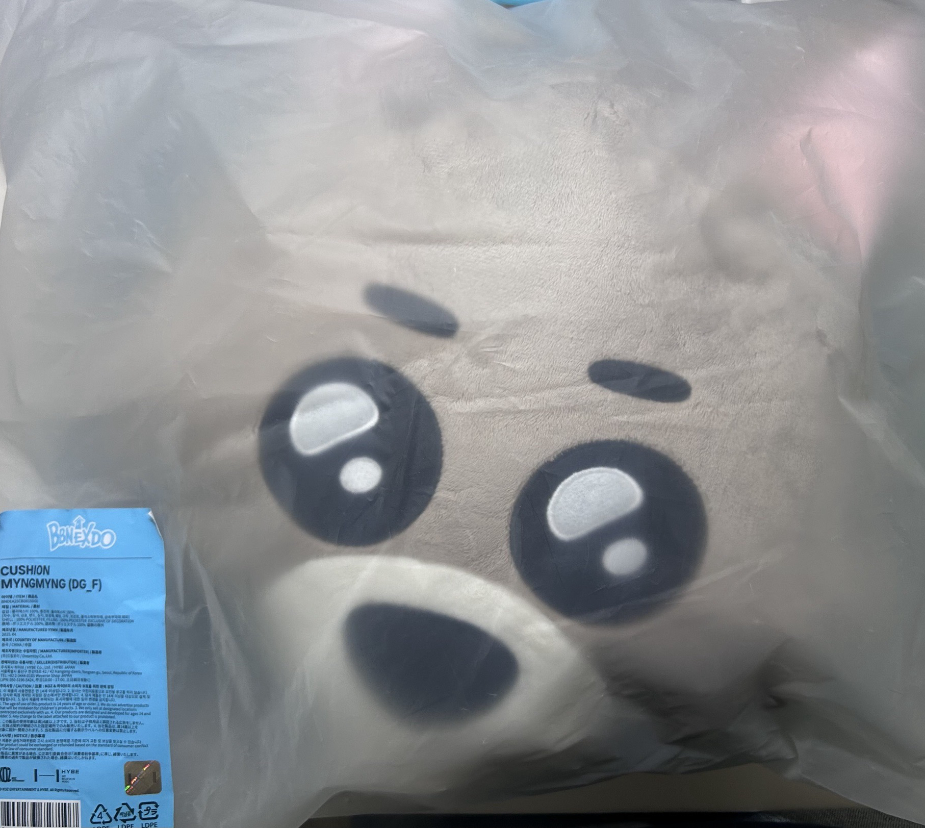 BBNEXDO 抱枕 MYNGMYNG