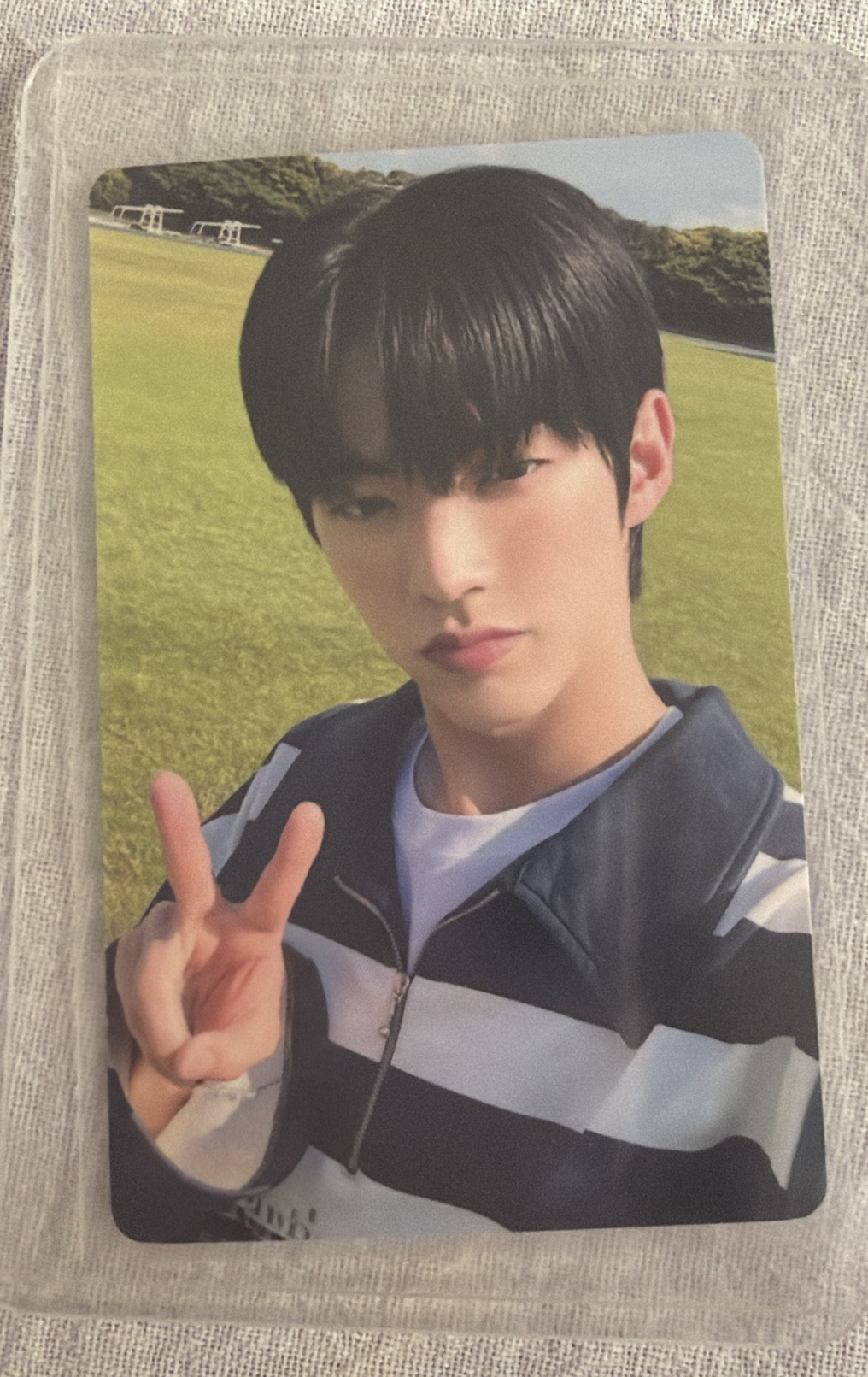 道勳 一直娛 澳門 簽售卡 