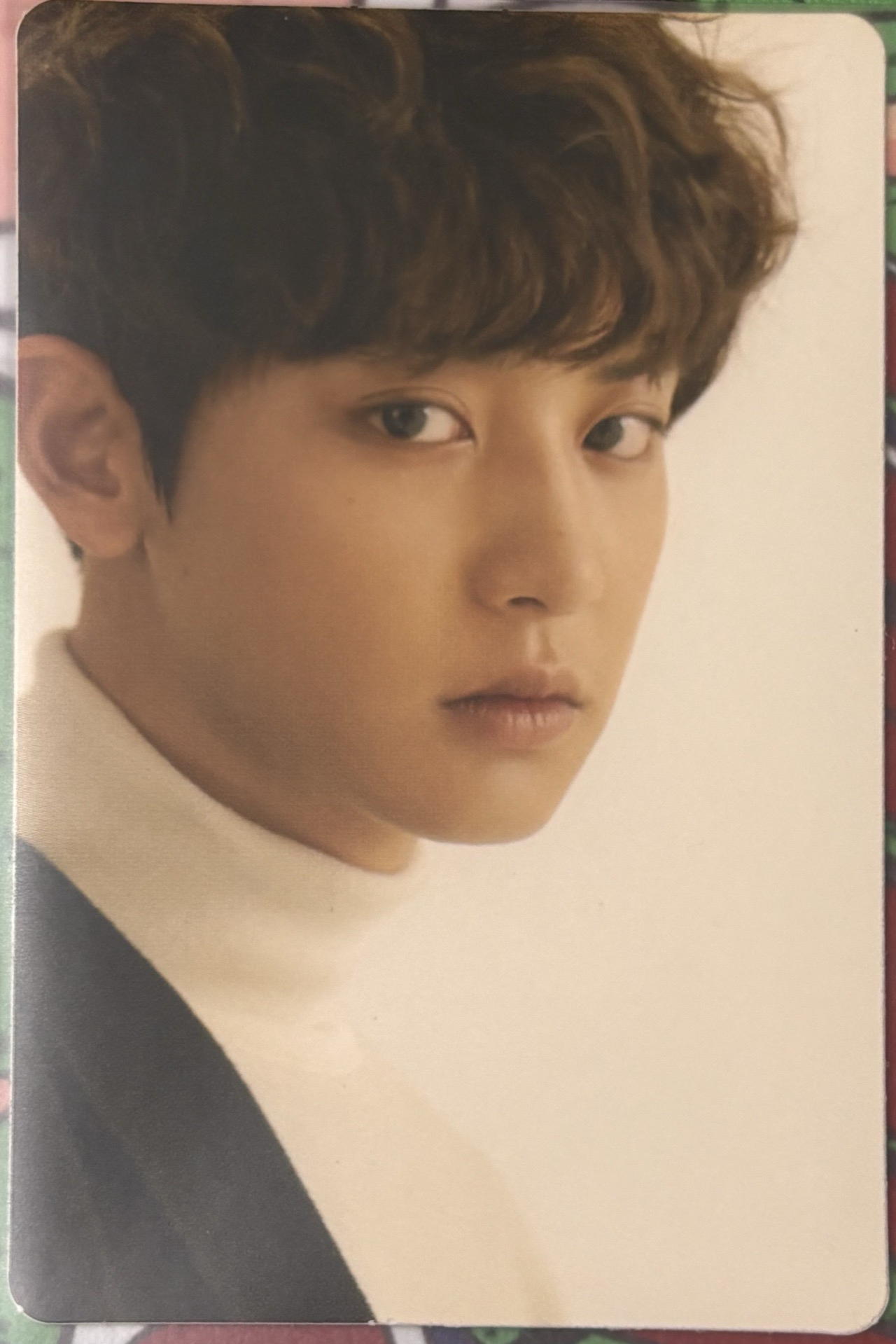 For life 貼紙卡 燦