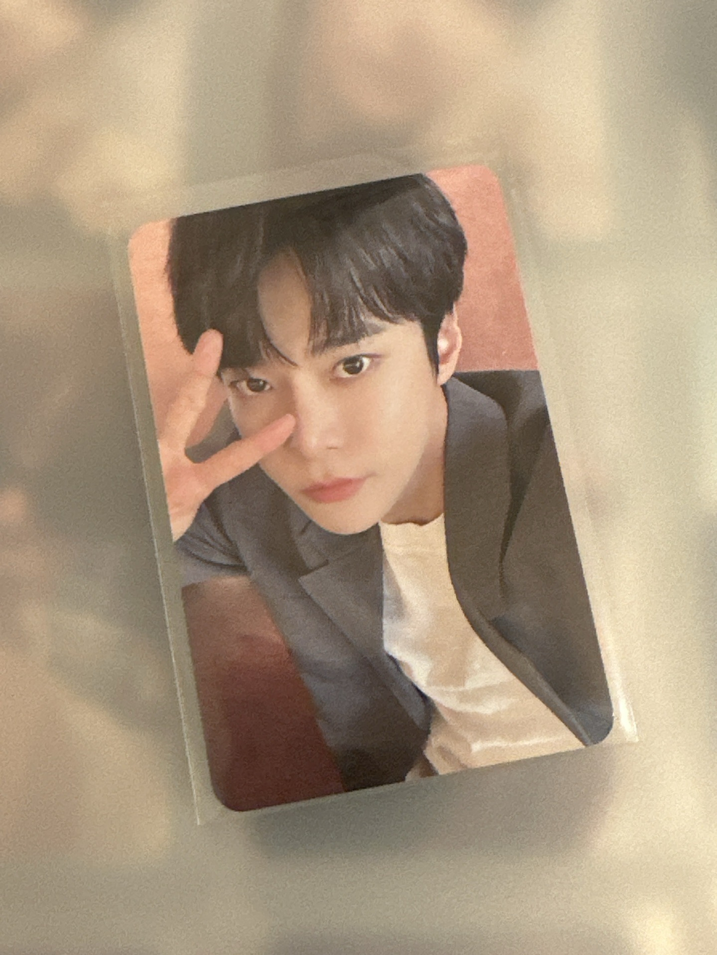 青春的泡沫 wm 簽售卡 道英