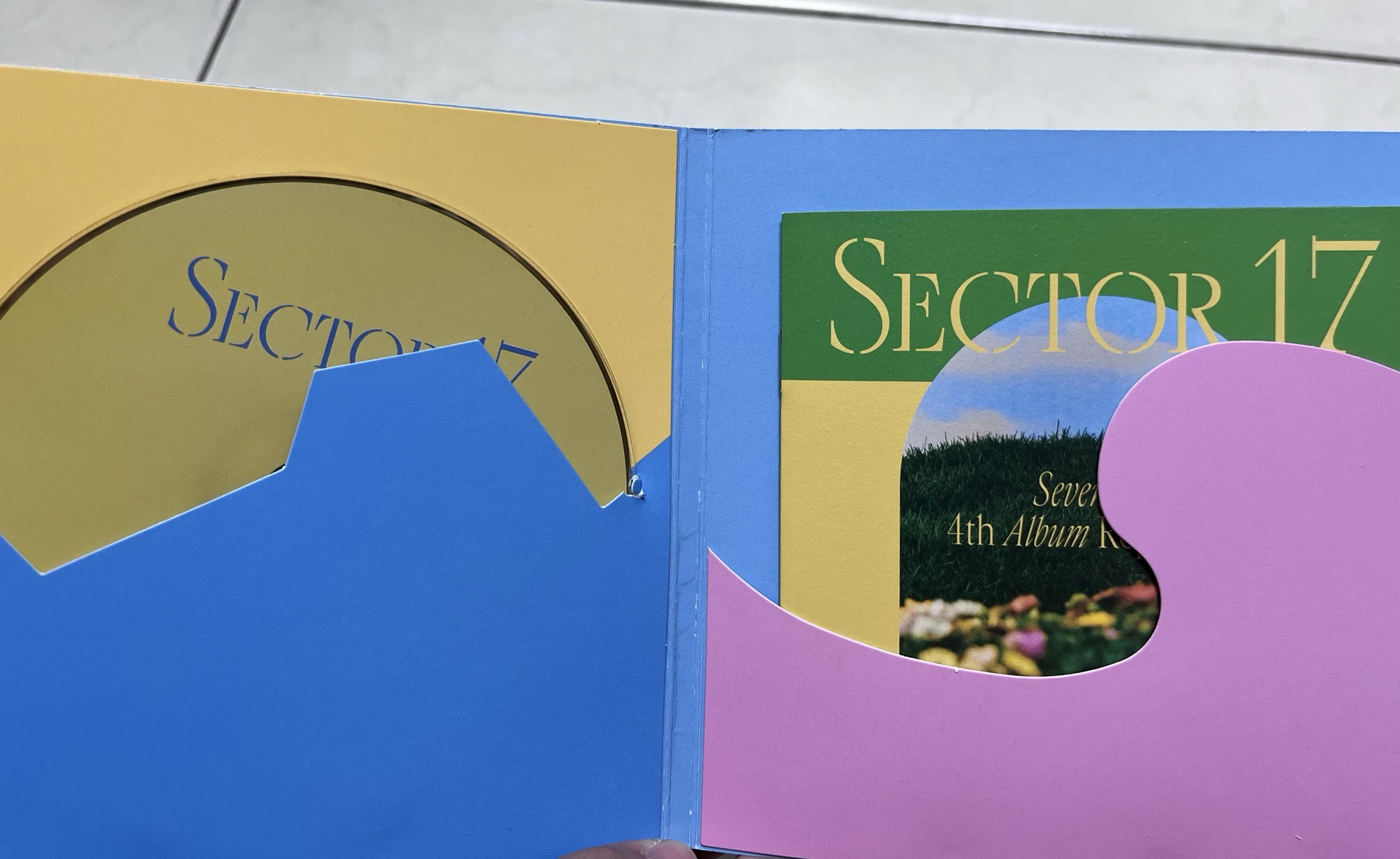 正四後續-Dino pb