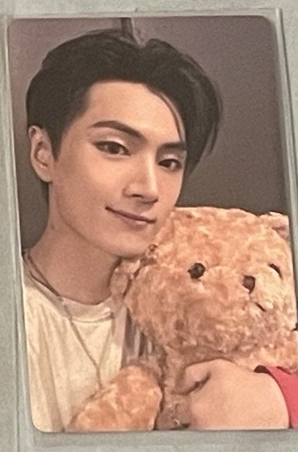 ENHYPEN 朴綜星 正二 一直娛 yzy 預售4.0 抱熊