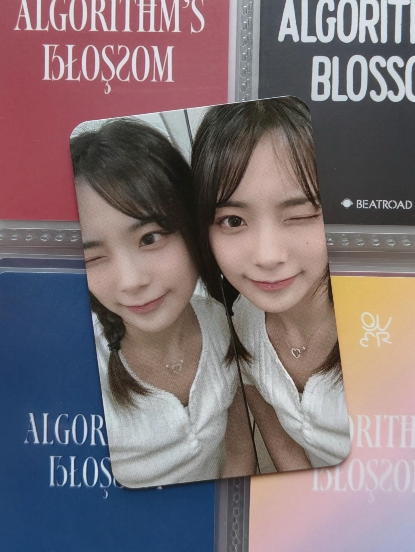 ❗️非現❗️對鏡始燕 有多張