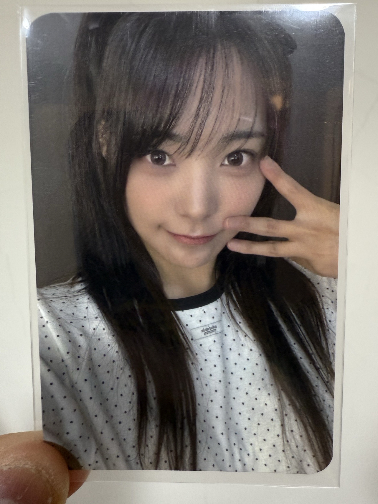 迷三 br4.0 貓咪燕