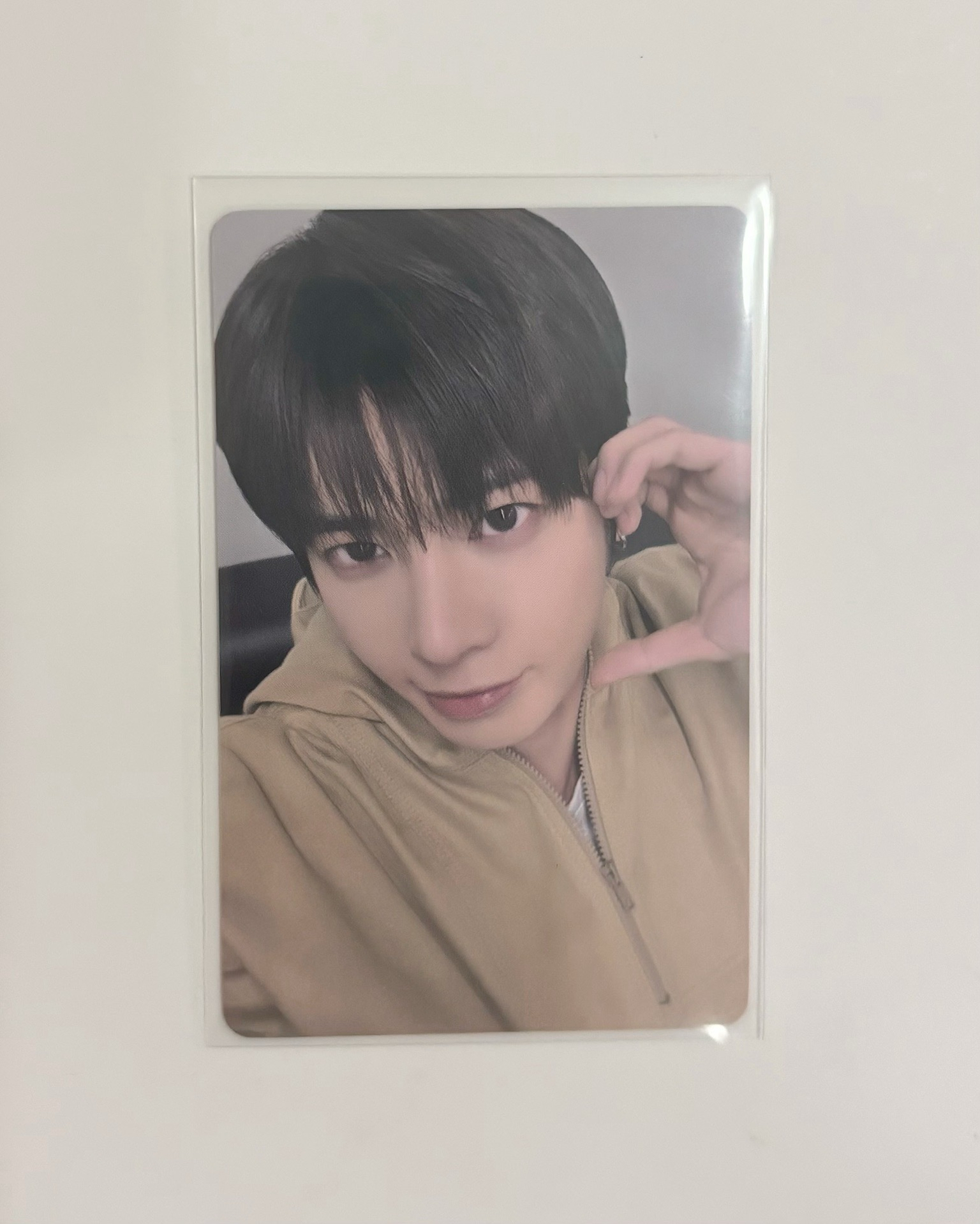 中背 小貓速速 使命必達！