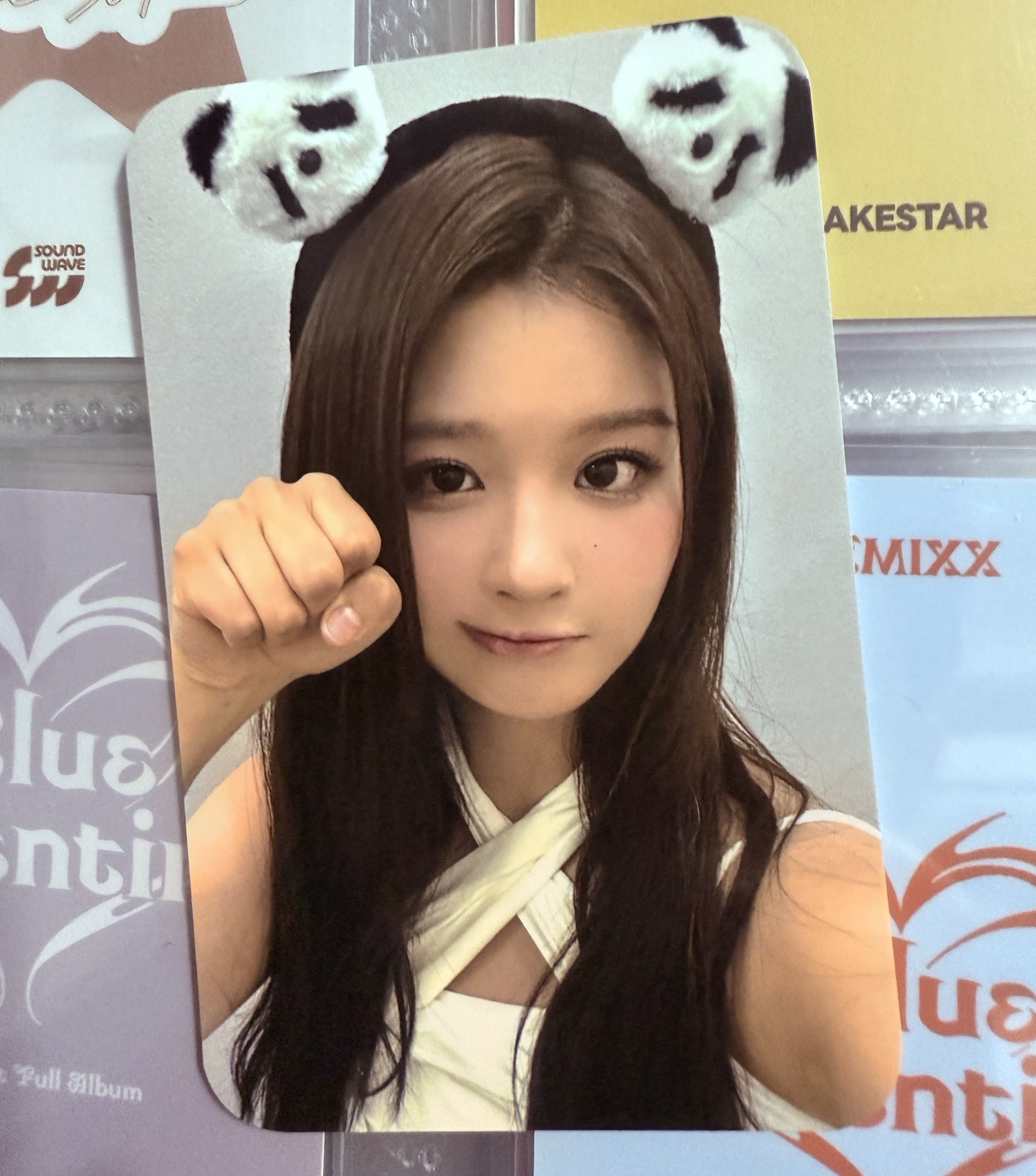 仲夏夜 楠藝 簽售卡 熊貓