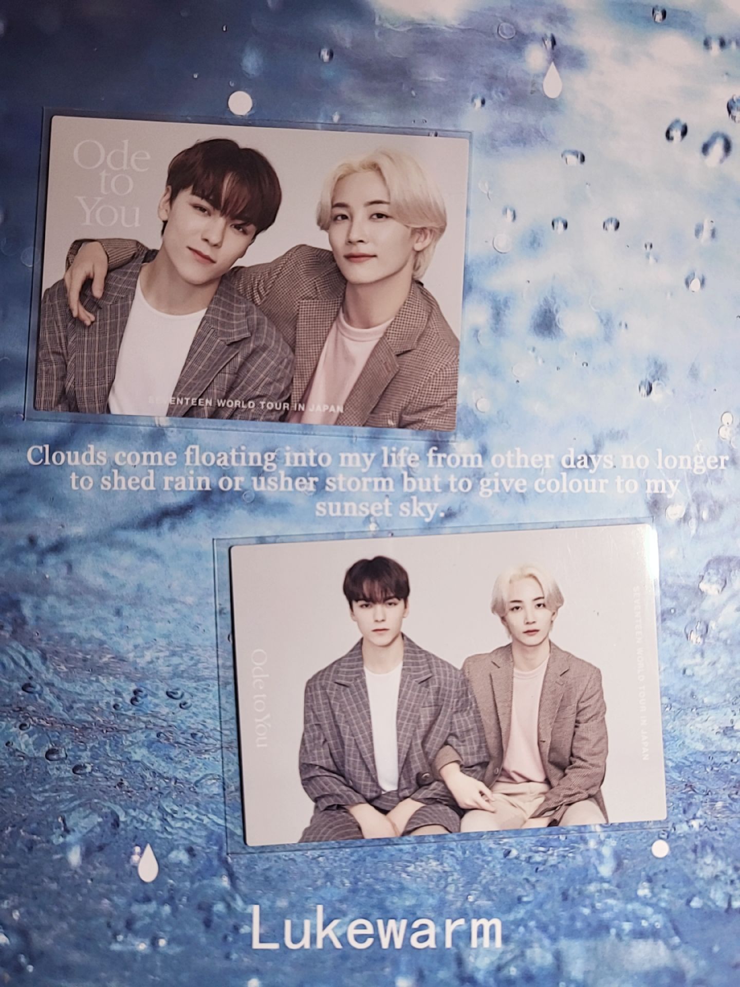 淨漢  Vernon OTY 卡包卡*2