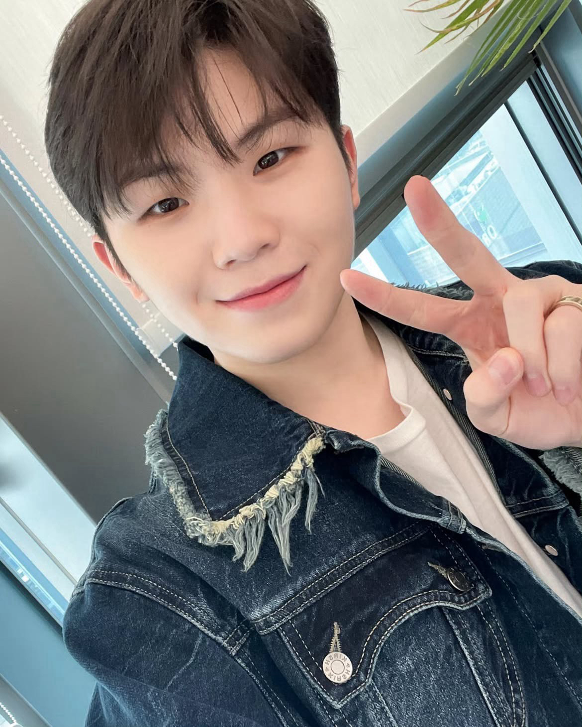 勳卡（專卡區）