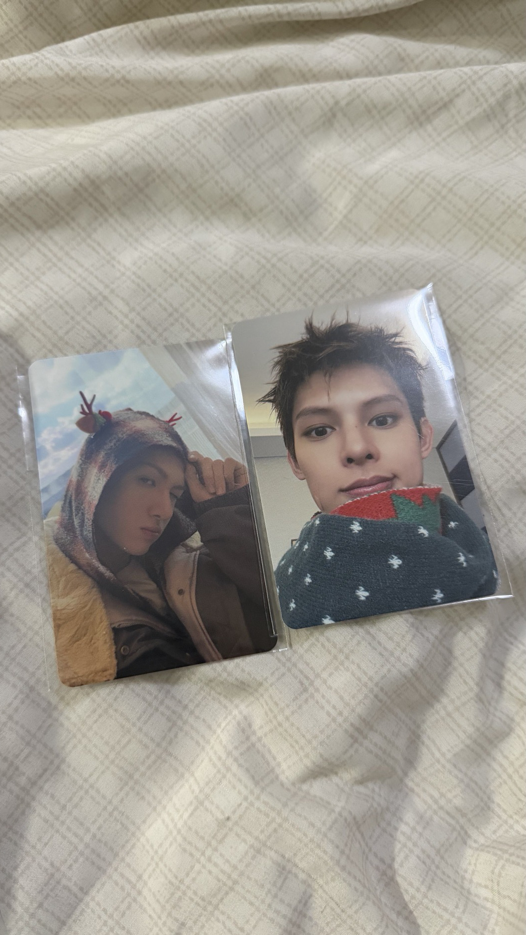 Cortis 年末特典MP 馬、凡