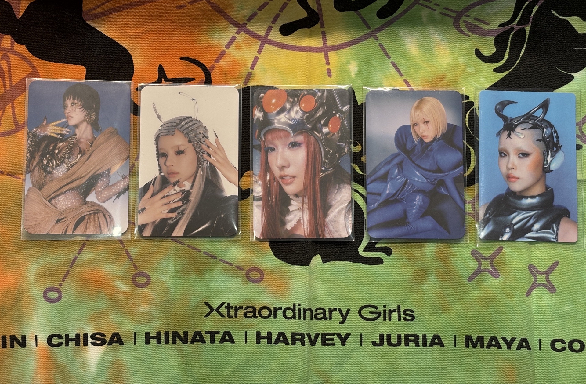 🐺THE CORE CHISA/HARVEY/JURIA/MAYA/COCONA專卡 ☀️🦄🐿️🐶🍄