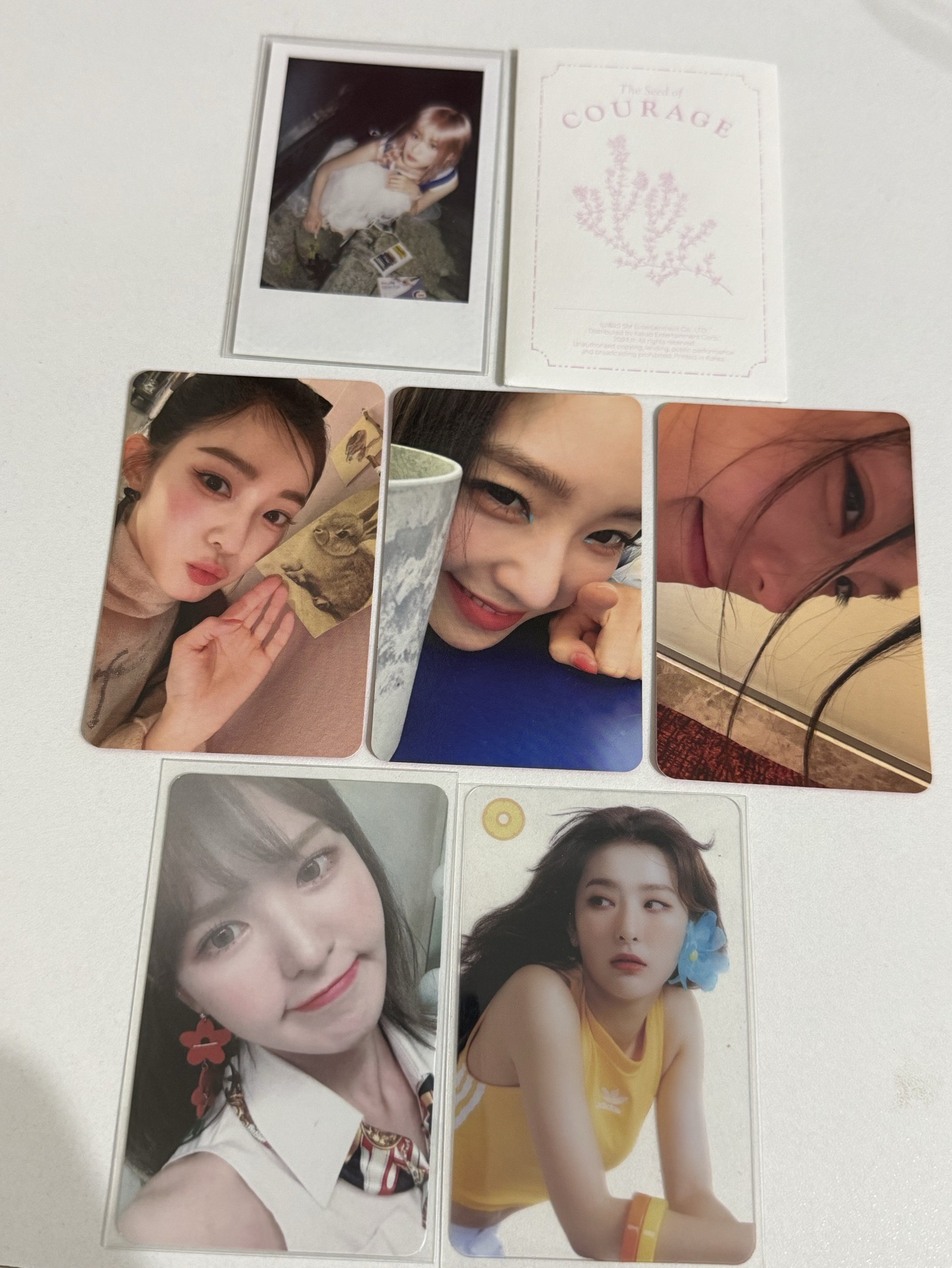 Red Velvet Irene、瑟琪、Wendy