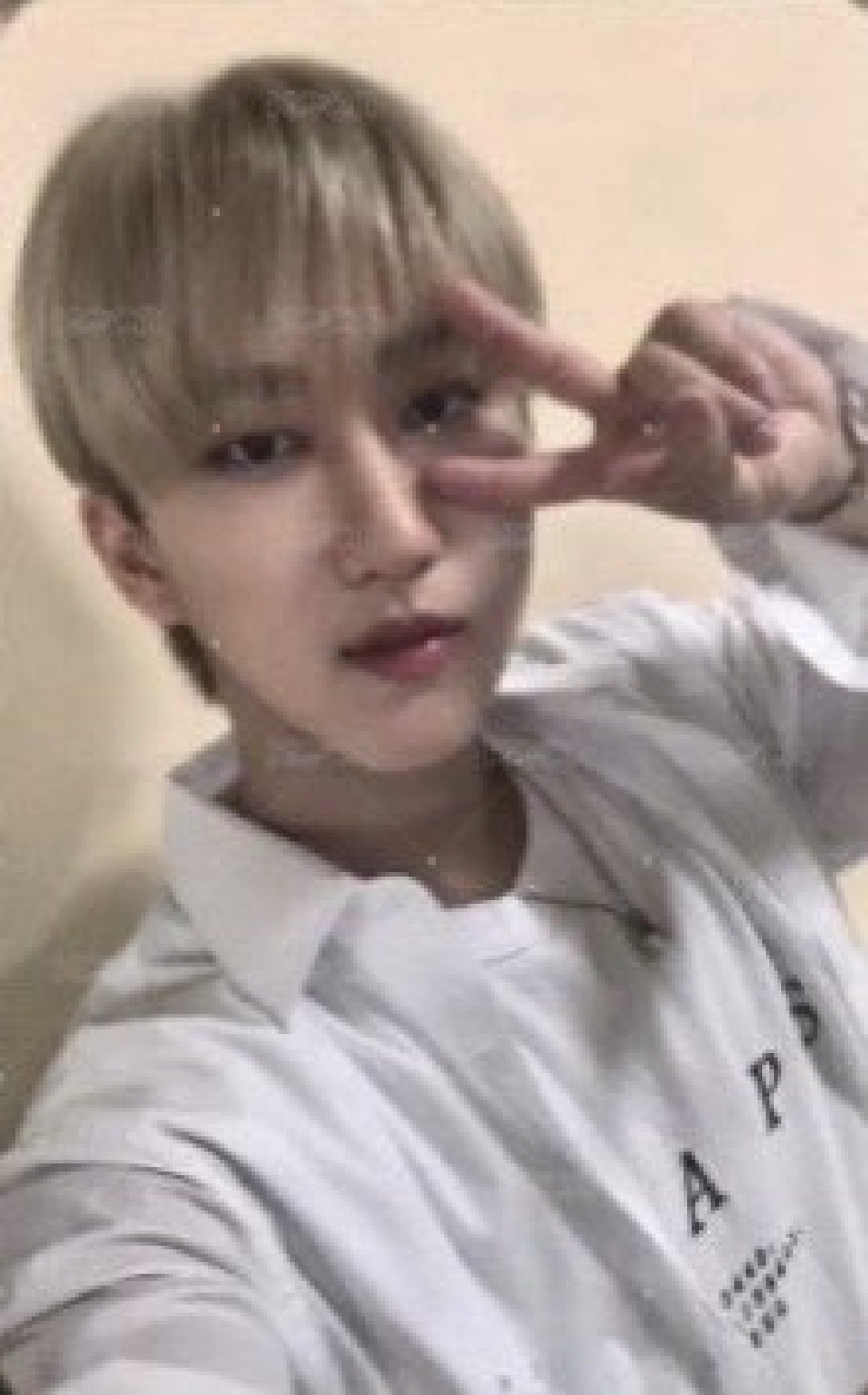 IN生 蝦皮 簽售卡