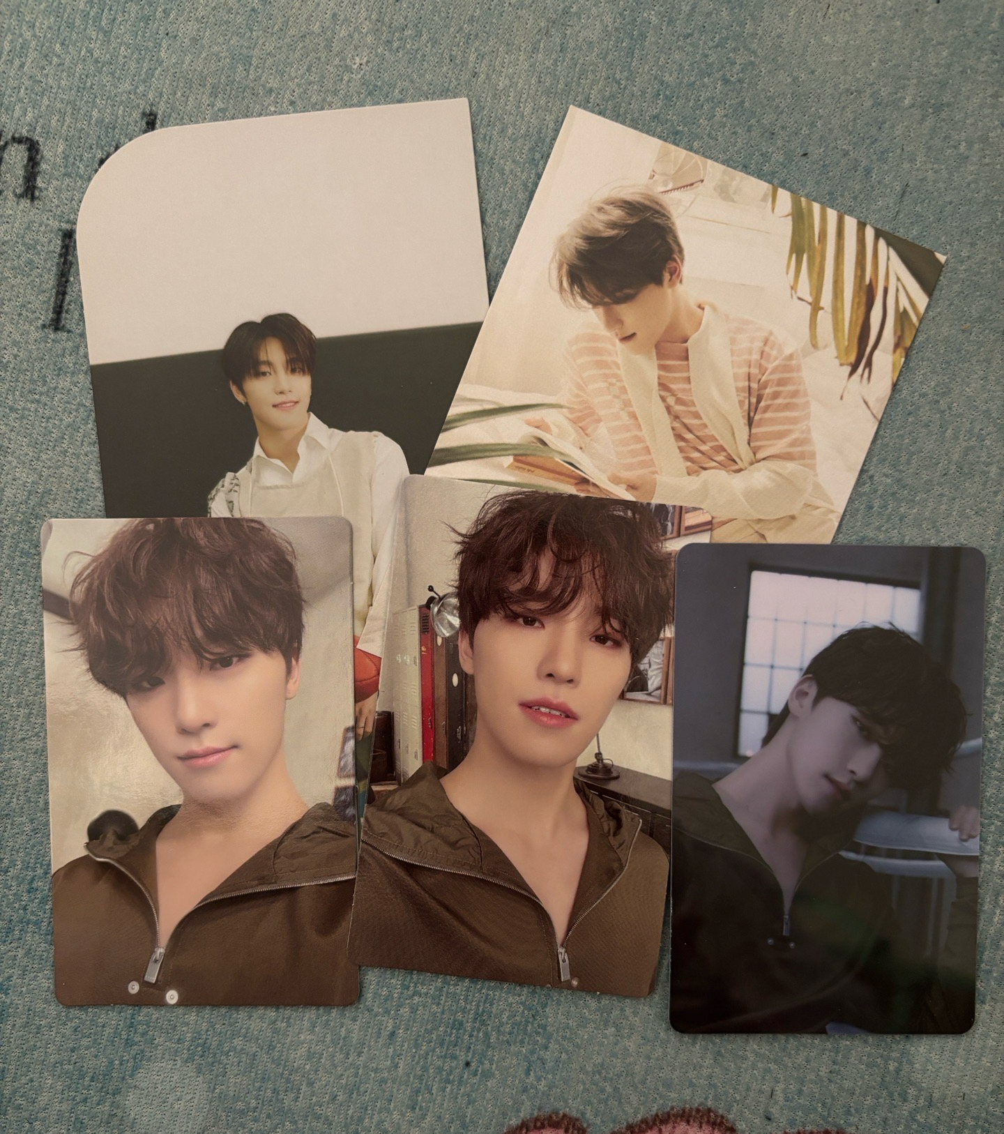 Dino  FML電子專🩷