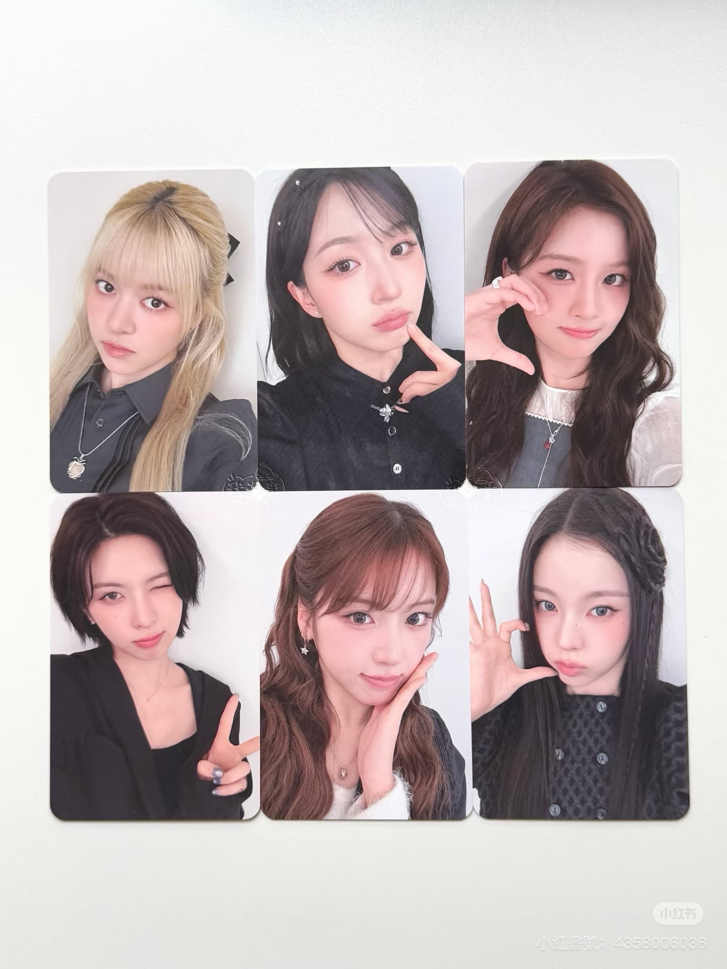 正規一 ms 台北 25.0 合影 簽售卡 