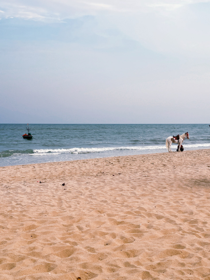 茉莉奶綠加芋頭