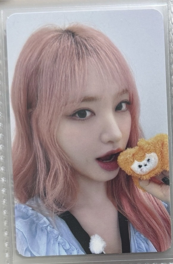 台灣限定滿額栗