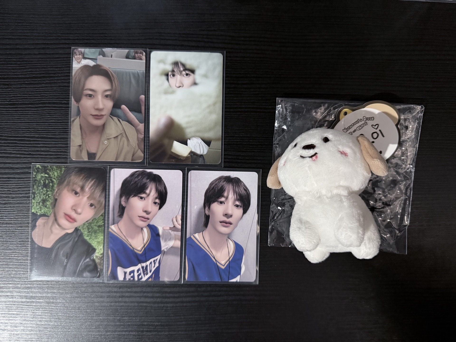 原皮汪汪龍含綁