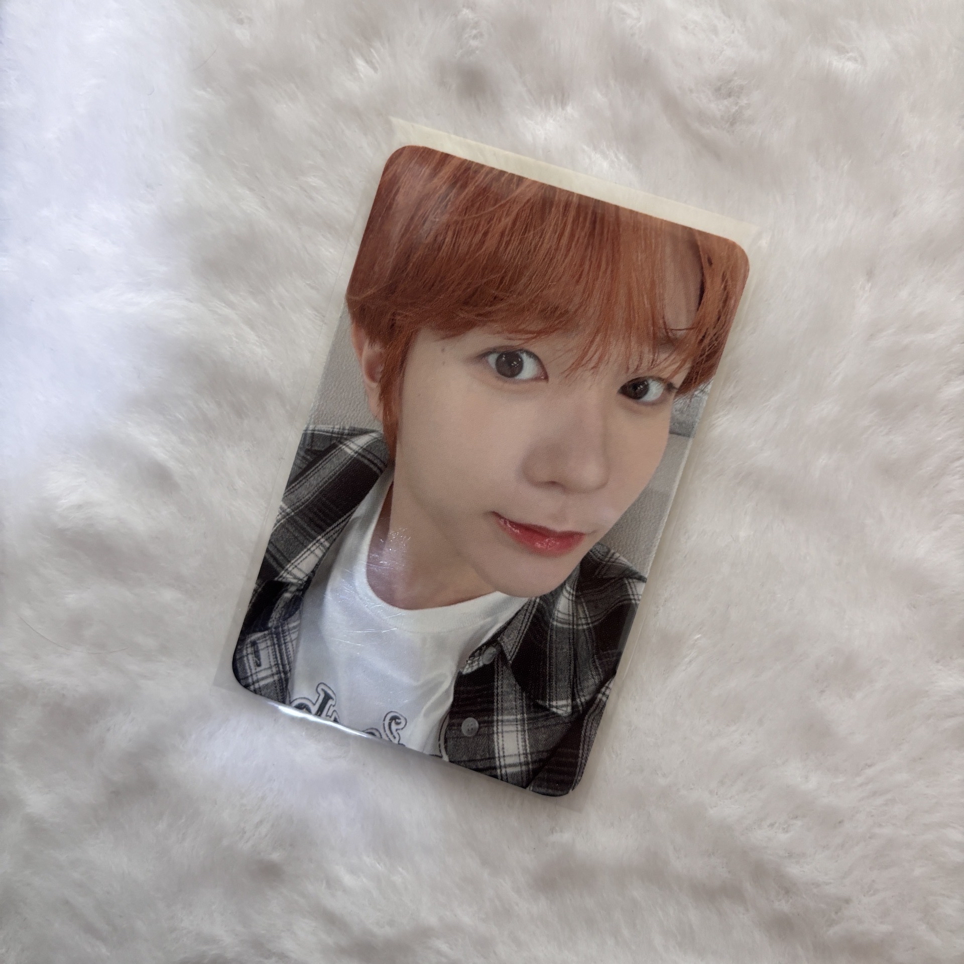 💛你在說什麼呀小狗聽不懂