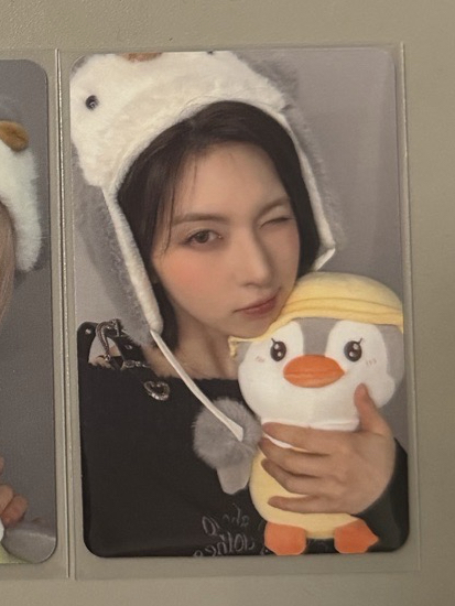 ⭐️AMLD3.0企鵝裴