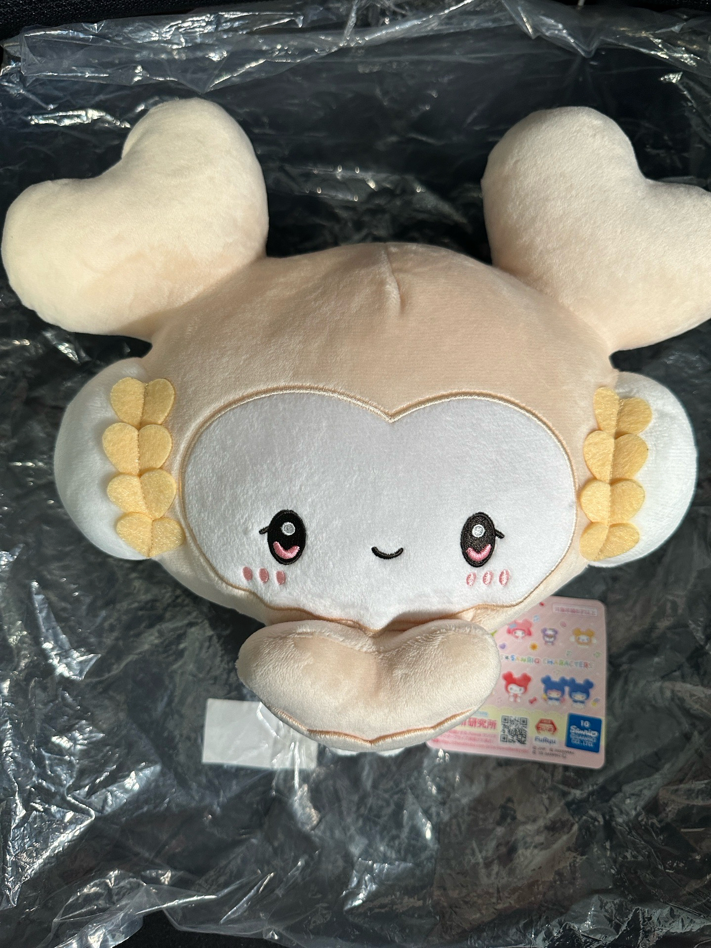 TWICE 三立鷗 多賢小麥 gigo