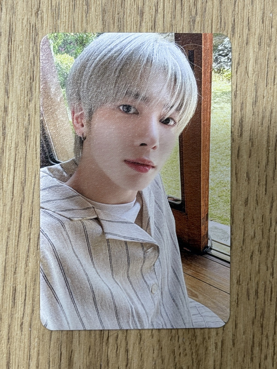 23夏寫 糰子版 周邊卡 