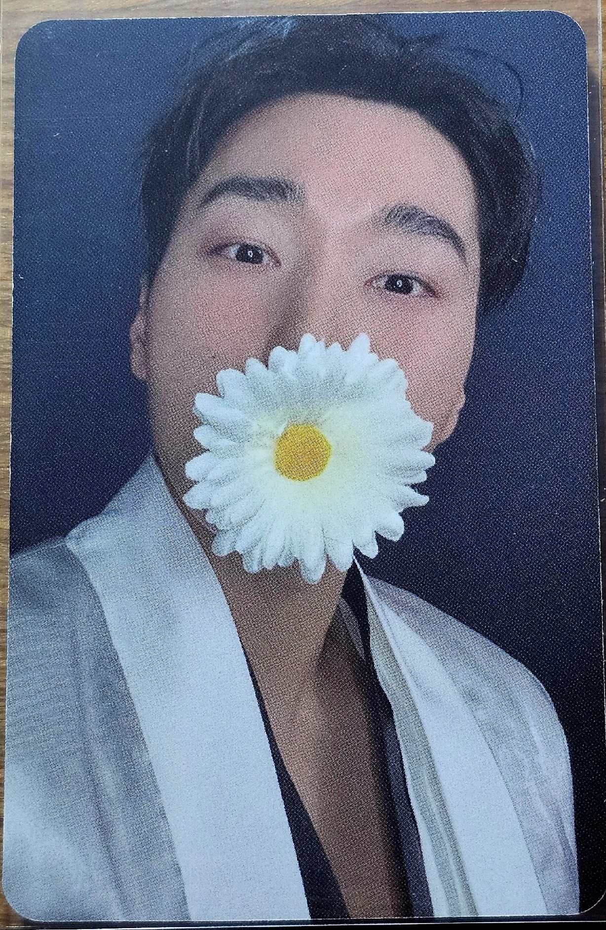 性感的咬花的傘