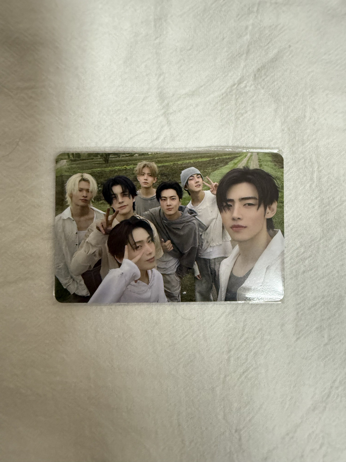 ENHYPEN 日本WVS團卡