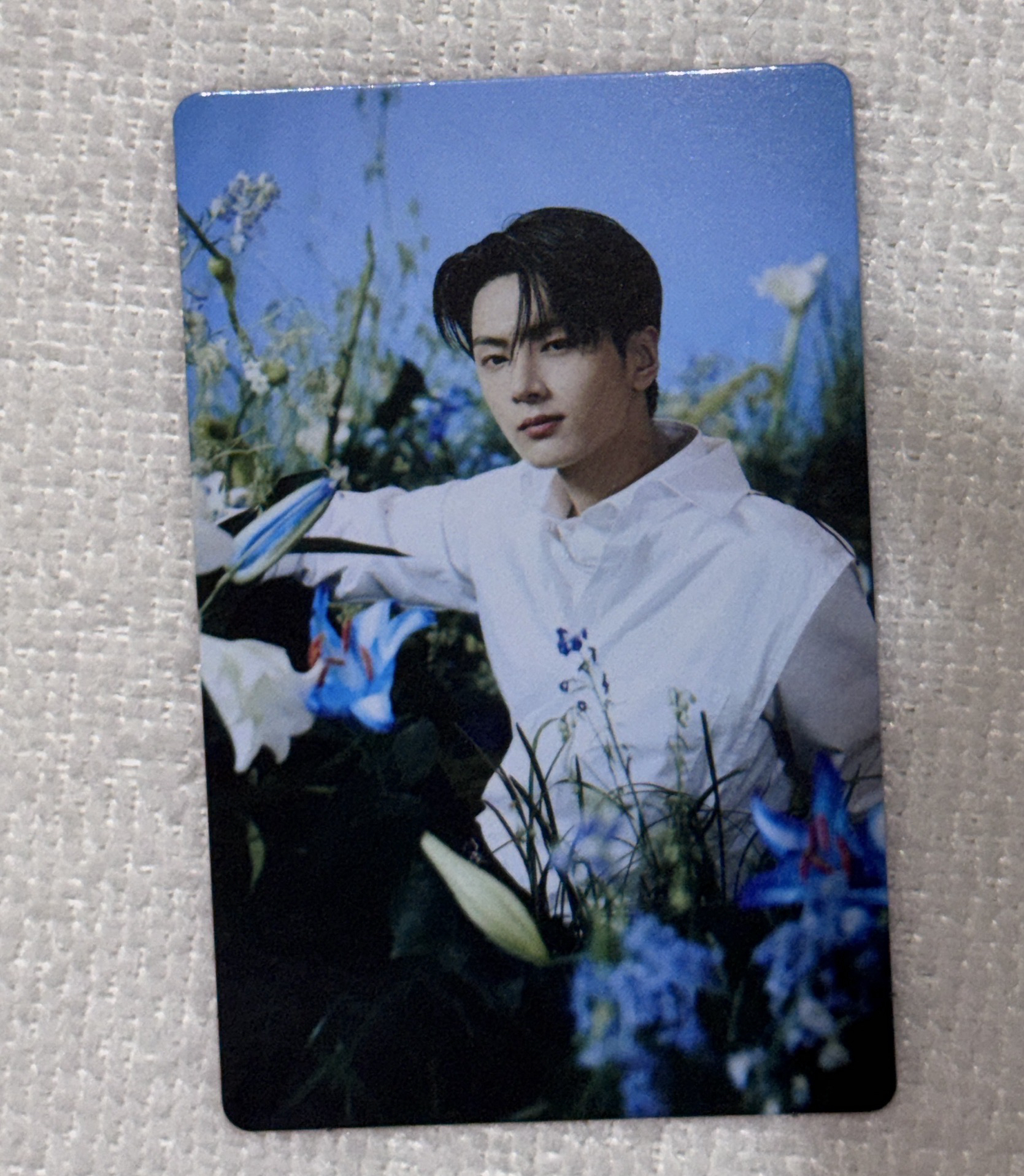 Enhypen 韓安隨機卡包小卡 JAY