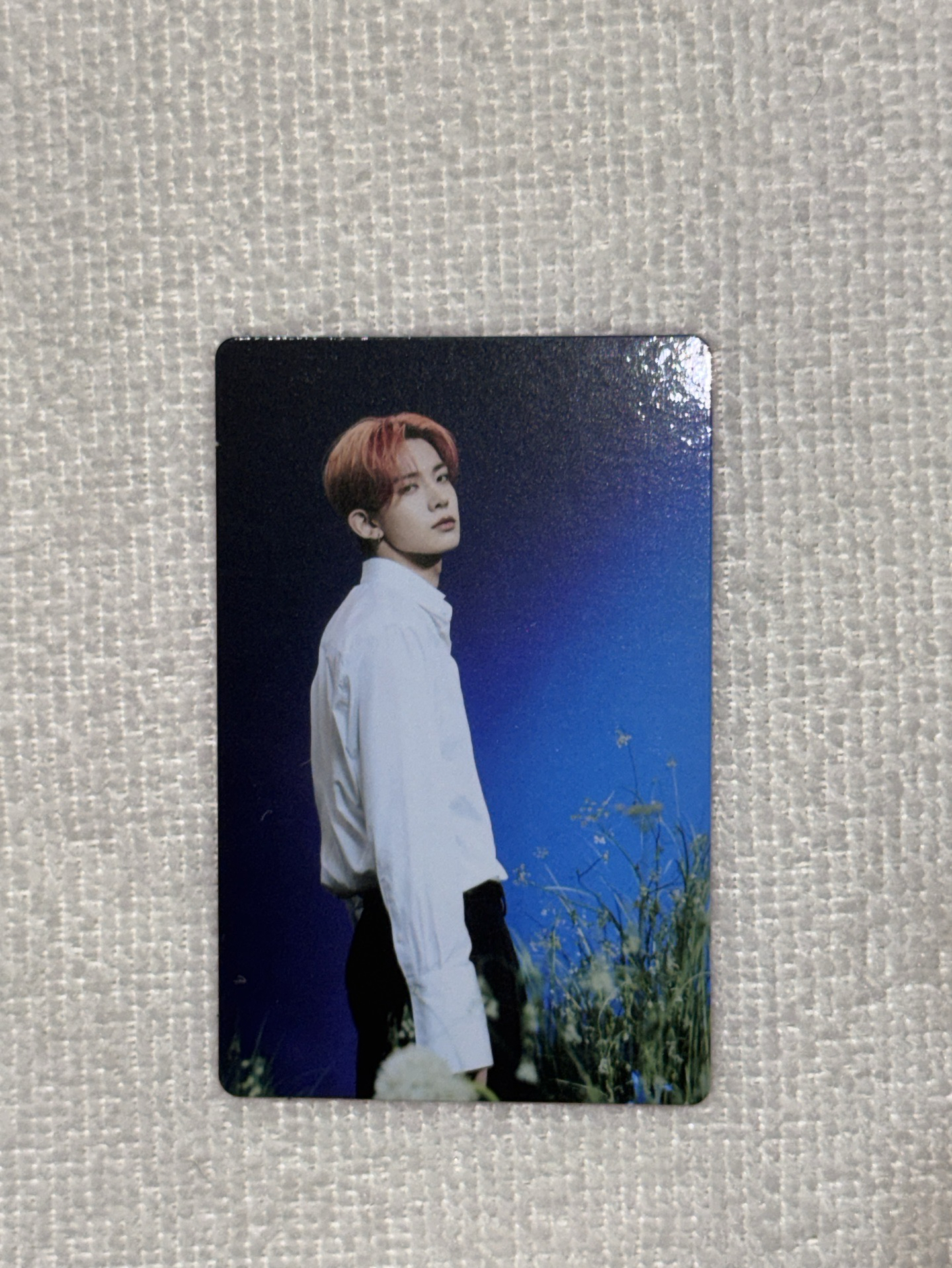 Enhypen 韓安隨機卡包小卡 羲承