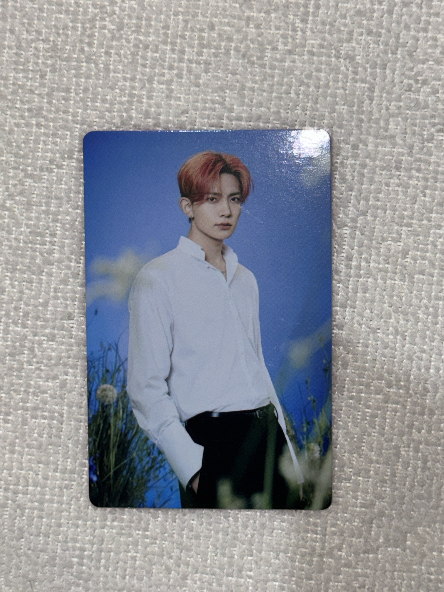 Enhypen 韓安隨機卡包小卡 羲承②