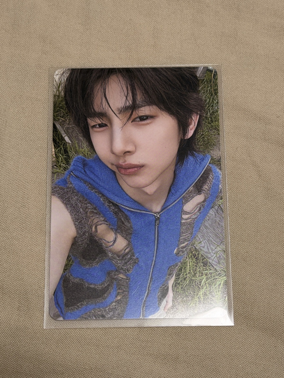 金主訓迷一 wvs 專輯卡 電子專 A ver.