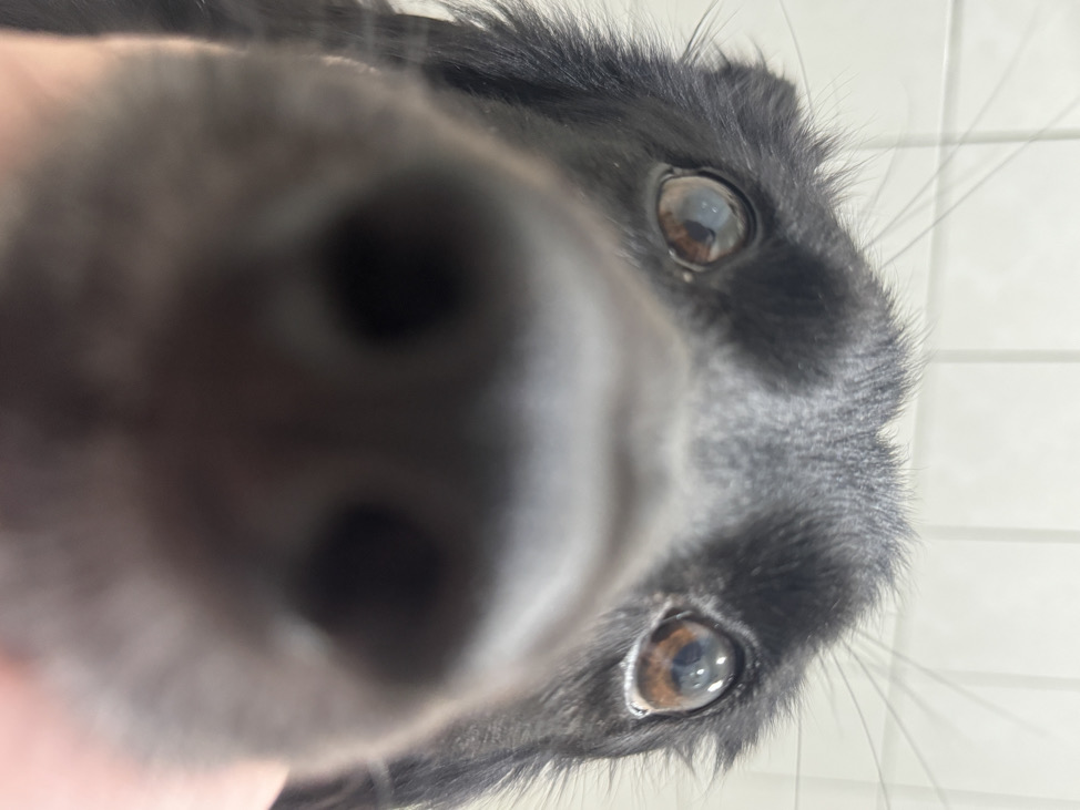 K（現貨當天出貨）