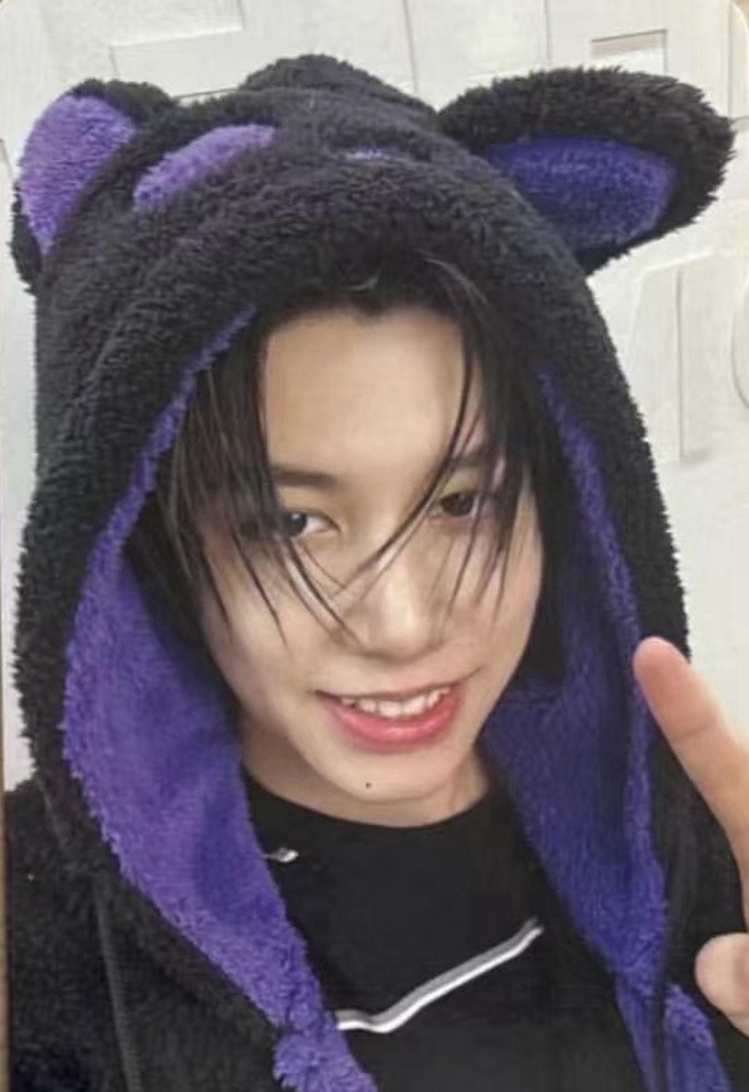 路易黑貓小卡（現貨）