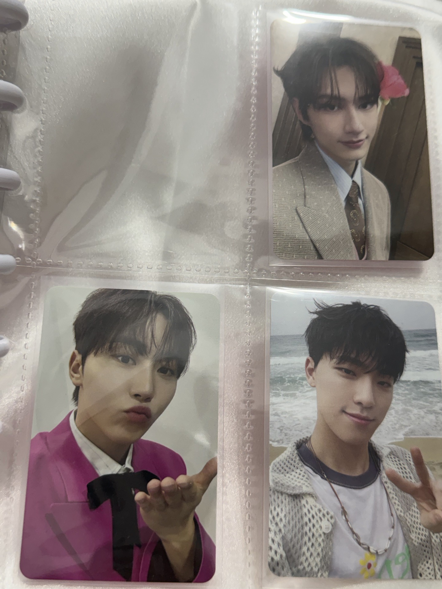 迷12 專卡 俊圓寛燦